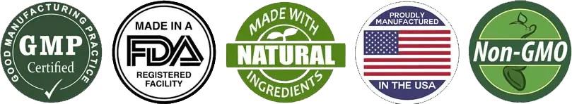 Quality and Manufacturing Standards Icon